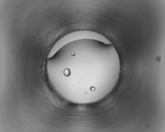 X0000111910264200908241033
