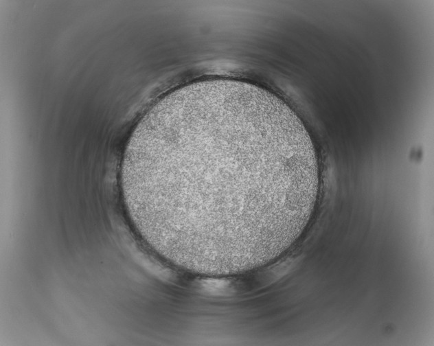 X0000111910265200908241033