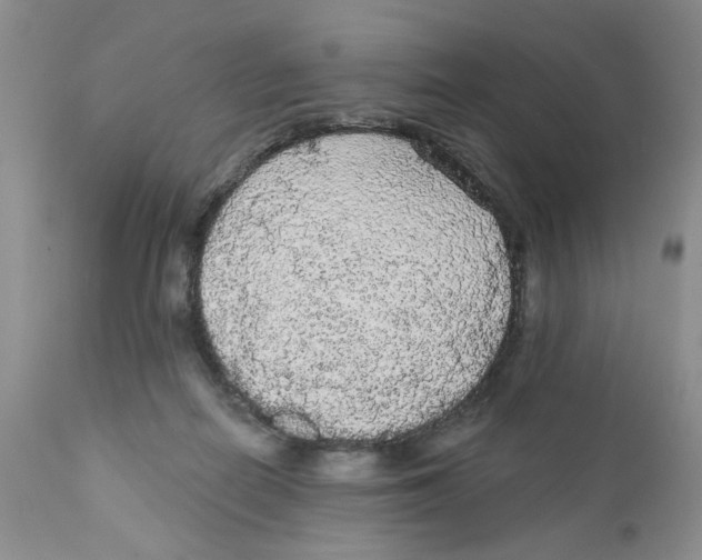 X0000111910266200908241033