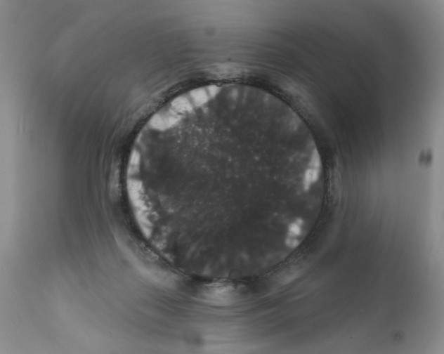 X0000111910267200908241033