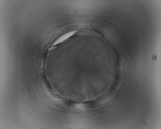 X0000111910268200908241033