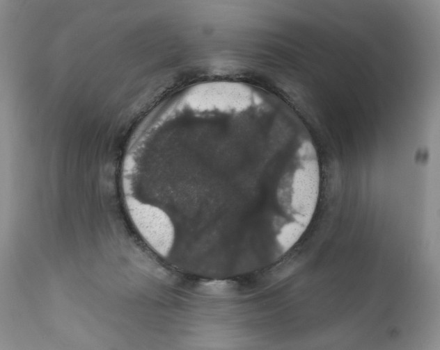X0000111910269200908241034