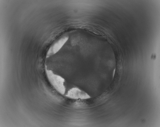 X0000111910270200908241034