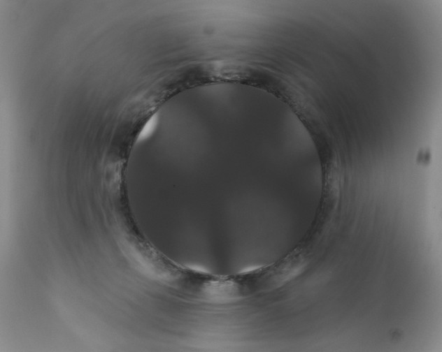X0000111910271200908241034