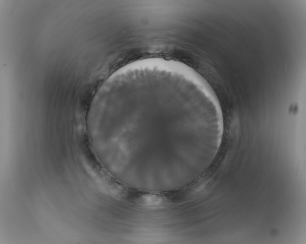 X0000111910272200908241034