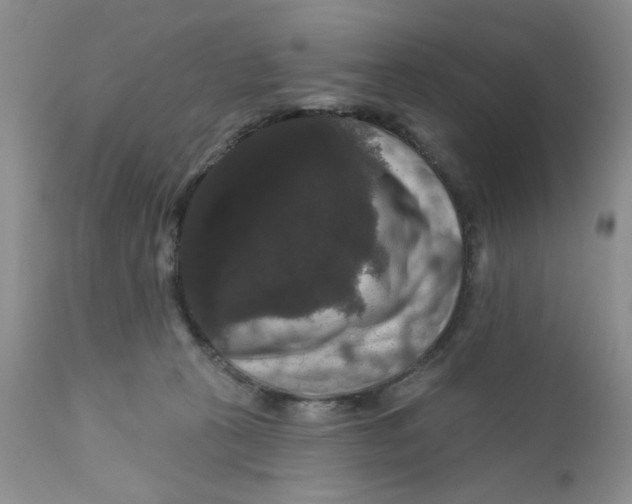 X0000111910273200908241034
