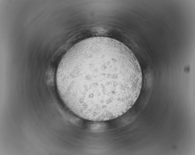 X0000111910274200908241034