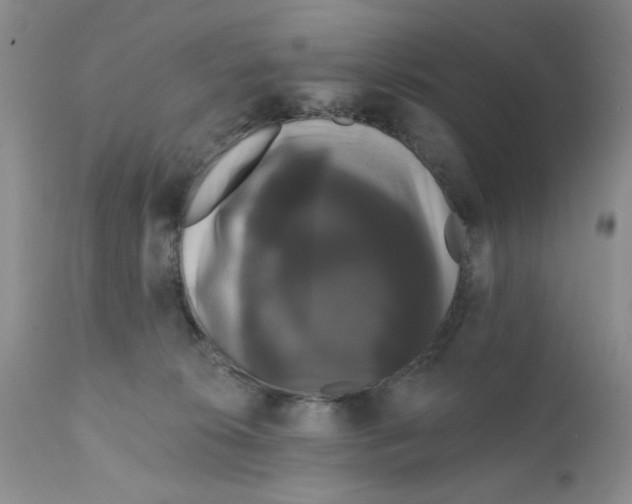 X0000111910276200908241034