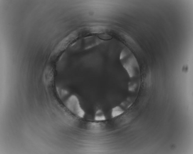 X0000111910277200908241034