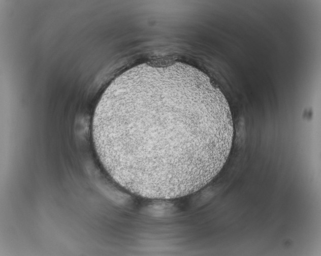 X0000111910278200908241034
