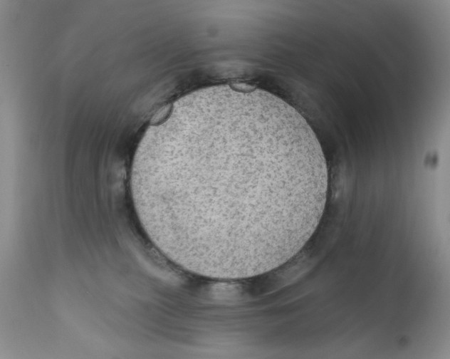 X0000111910279200908241034