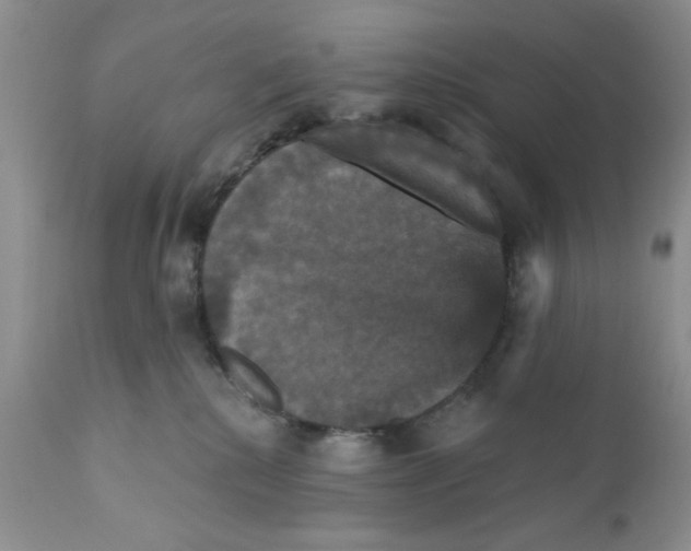 X0000111910280200908241034