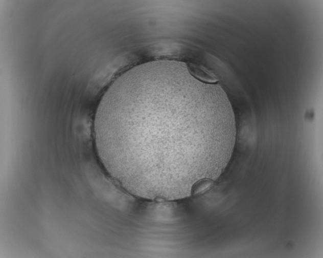X0000111910282200908241034