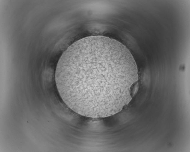 X0000111910283200908241034