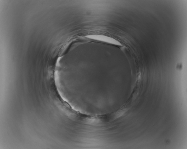 X0000111910284200908241034
