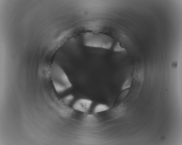 X0000111910285200908241034