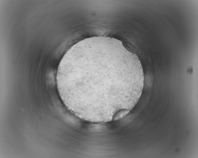 X0000111910286200908241034
