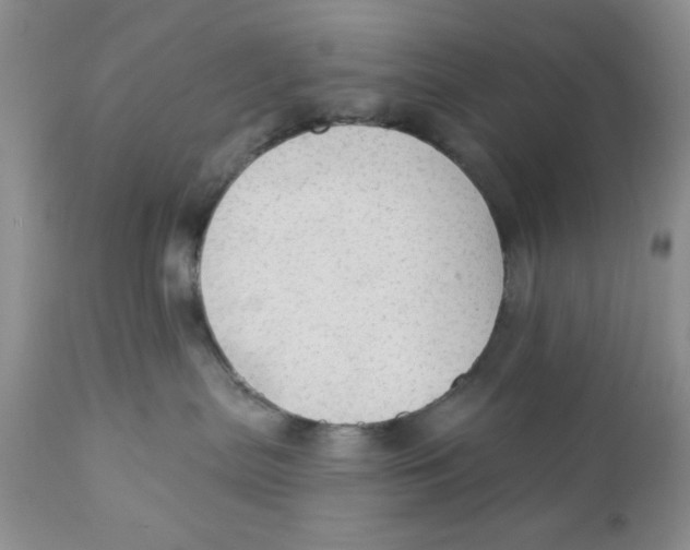 X0000111910287200908241034