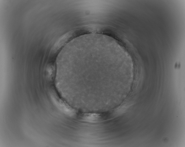 X0000111910288200908241034