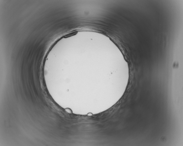 X0000111910289200908241033