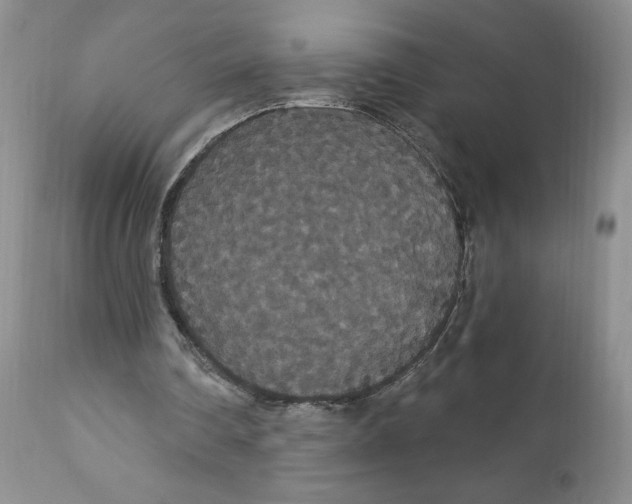 X0000111910290200908241033
