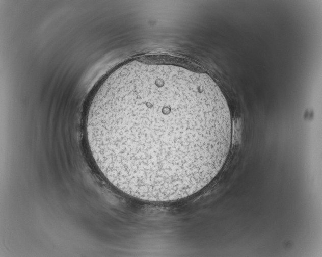 X0000111910291200908241033