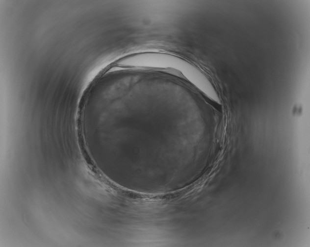 X0000111910292200908241033