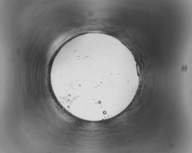 X0000111910293200908241033