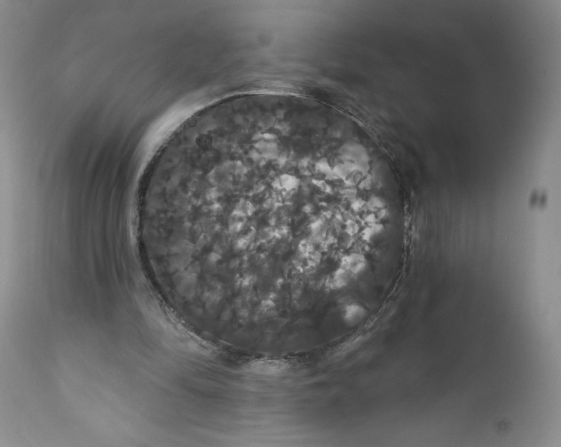 X0000111910294200908241033