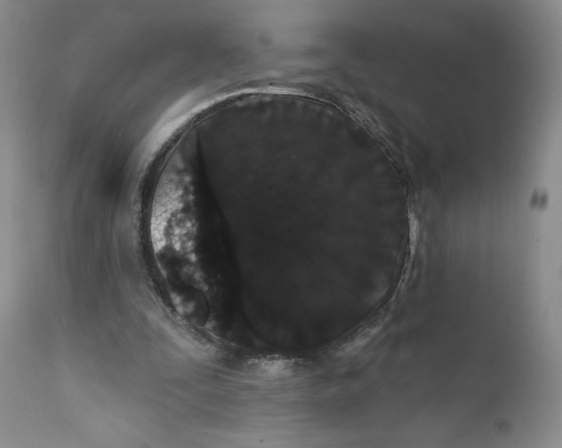 X0000111910295200908241033