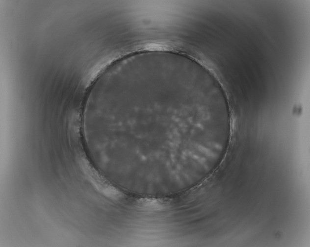 X0000111910297200908241033