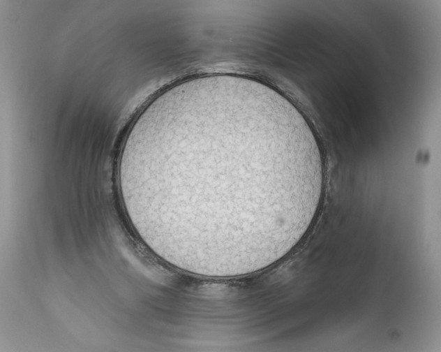 X0000111910298200908241033