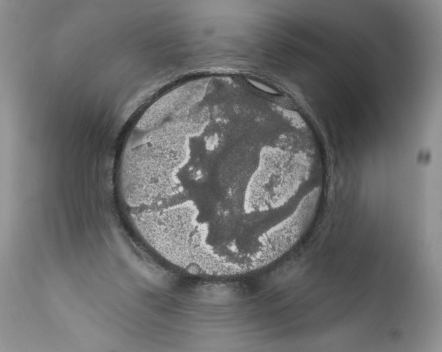 X0000111910299200908241033