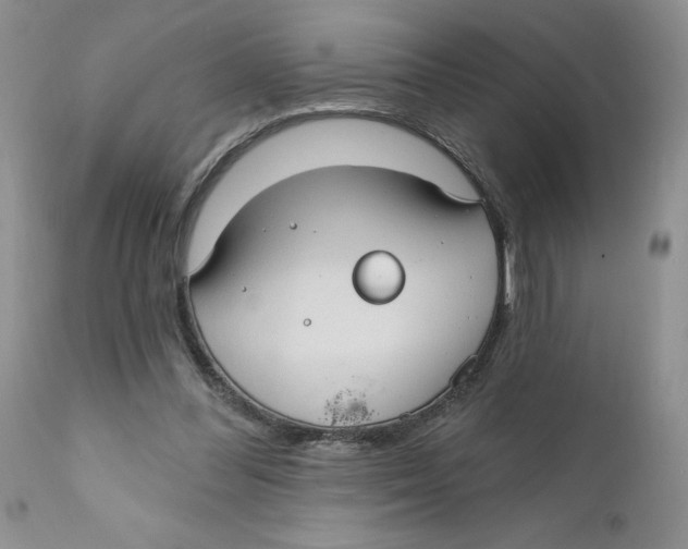 X0000111910300200908241033