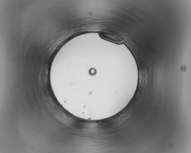 X0000111910301200908241033