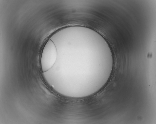 X0000111910302200908241033