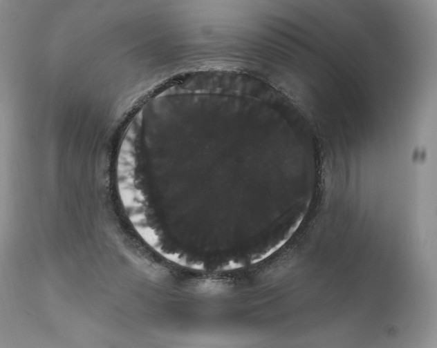 X0000111910303200908241033
