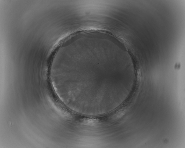 X0000111910304200908241033