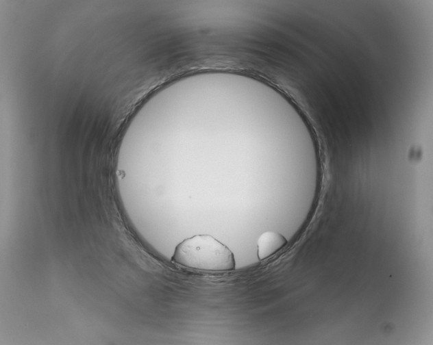 X0000111910305200908241033