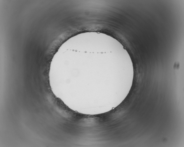 X0000111910307200908241033