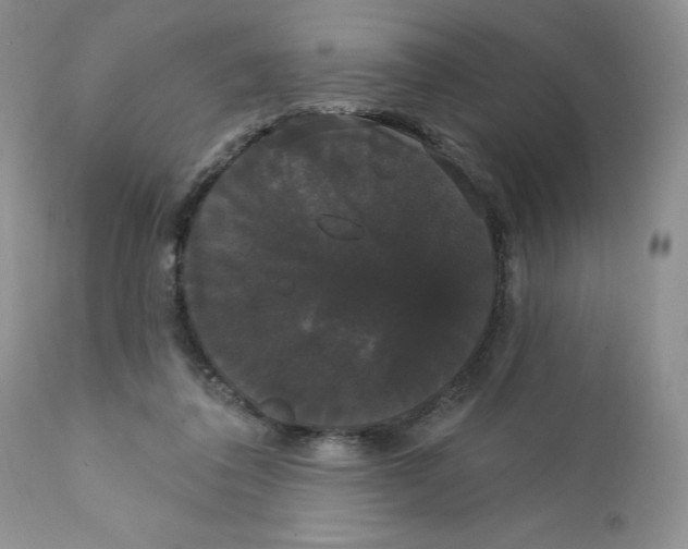 X0000111910308200908241033