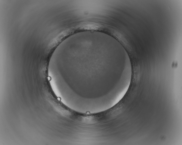 X0000111910309200908241033