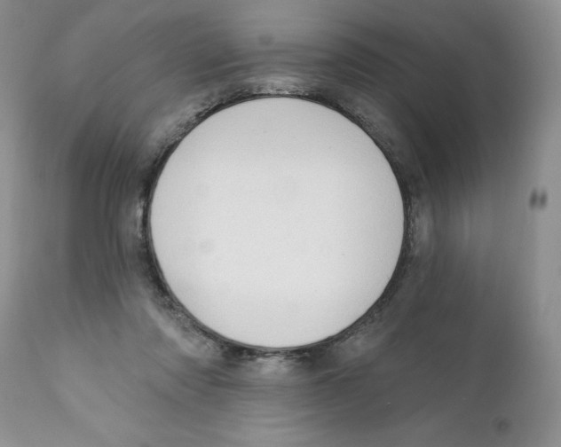 X0000111910310200908241033