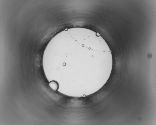 X0000111910311200908241033