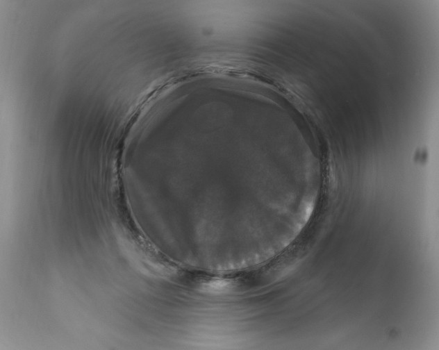 X0000111910312200908241033