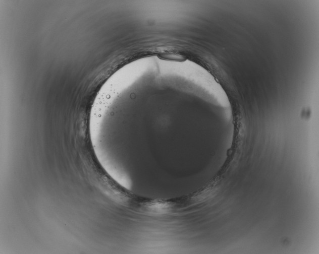 X0000111910313200908241033
