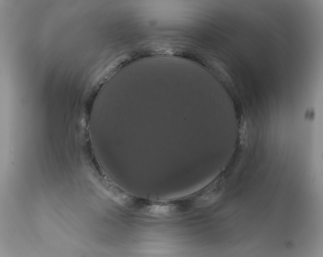 X0000111910314200908241033