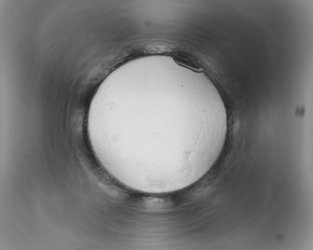 X0000111910315200908241033