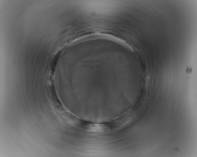 X0000111910316200908241033