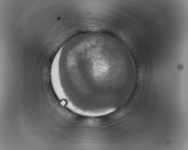 X0000111910317200908241033